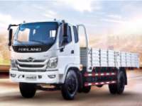 Бортовые автомобили FORLAND 3